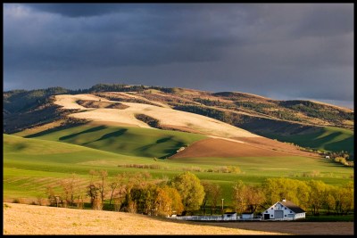 Bathed in Light by Gary Hamburgh - All Rights Reserved