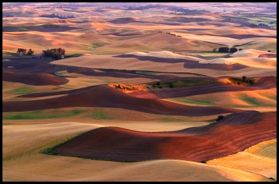 Chocolate and Caramel Mounds