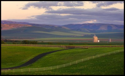 Fences by Gary Hamburgh - All Rights Reserved