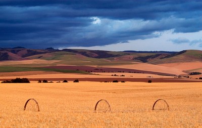Wheels in the Wheat by Gary Hamburgh - All Rights Reserved