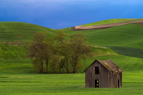 dsc_0025-2004-05-22-at-22-37-54-small-barn-in-the-evening Small Barn in the Evening by Gary Hamburgh - All Rights Reserved
