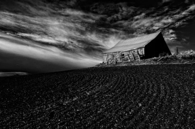GHamburgh dsc_0104-morning-glow-on-barn-bw Morning Glow on Barn b&w