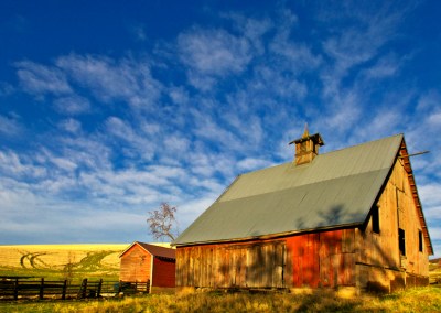 Afternoon Sun Lights Barn by Gary Hamburgh - All Rights Reserved