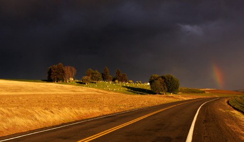Threatening Sky over Cemetery by Gary Hamburgh - All Rights Reserved