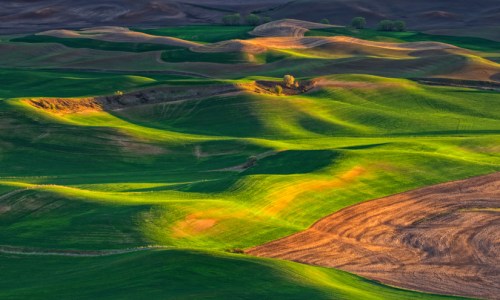 GHamburgh_mh_6707-evening-light-in-the-palouse2 Evening Light in the Palouse by Gary Hamburgh - All Rights Reserved