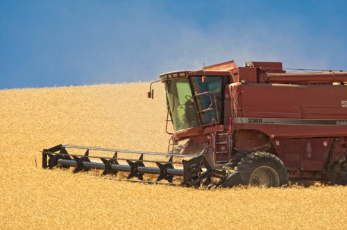 Red Combine by Gary Hamburgh - All Rights Reserved - ISO 200  f/10  1/500  400 mm