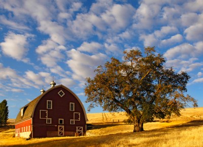 GHamburgh barn-in-morning-light-cropped Barn in Morning Light by Gary Hamburgh - All Rights Reserved
