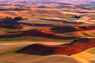 Chocolate and Caramel Mounds by Gary Hamburgh - All Rights Reserved