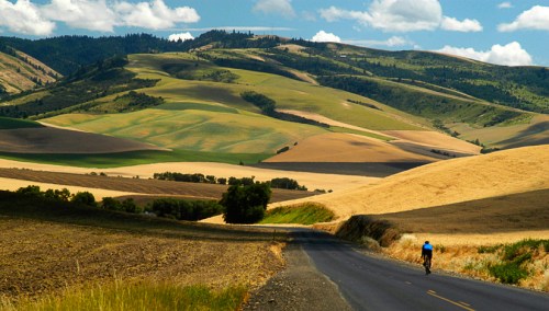 GHamburghDSC_0020-copy-Cycling-through-the-Hills Cycling through the Hills by Gary Hamburgh - All Rights Reserved