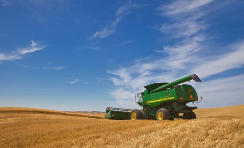  A Deere against the Sky - Copyright Gary Hamburgh 2009 - All Rights Reserved