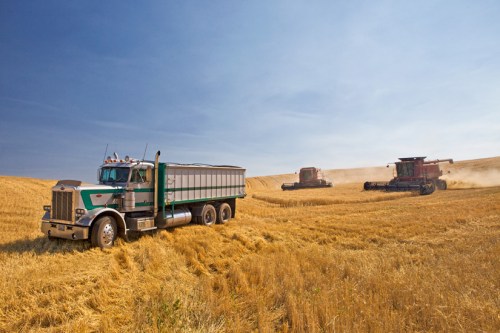 Heading to Unload - Copyright Gary Hamburgh 2009 _ All Rights Reserved