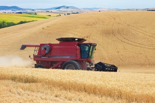 Case IH Combine 3 by Gary Hamburgh - All Rights Reserved