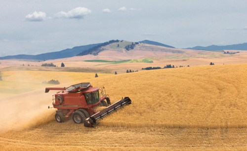 Case IH Combine by Gary Hamburgh - All Rights Reserved