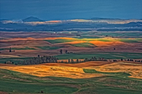 Patches of Light - Copyright Gary Hamburgh 2009 - All Rights Reserved