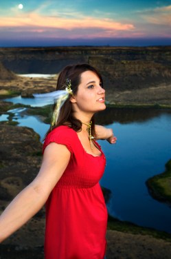 Free as a Bird - Copyright Gary Hamburgh 2009 - All Rights Reserved